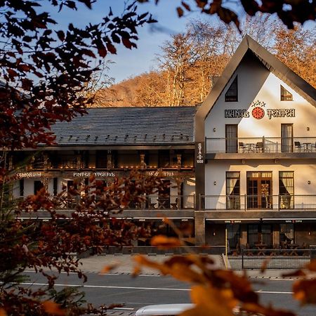 Hanul Tentea-Pasul Gutai Otel Baia-Sprie Dış mekan fotoğraf